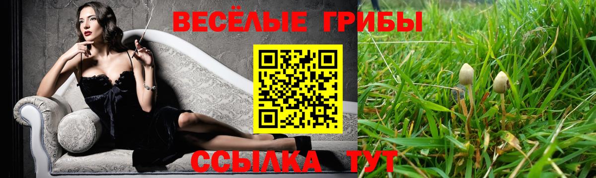 Псилоцибиновые грибы MAGIC MUSHROOMS Новокубанск